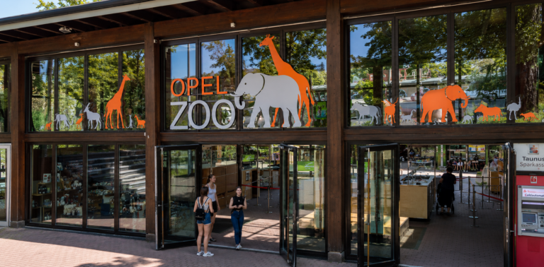 bild vom opel zoo für einen wANDERFÜHRER